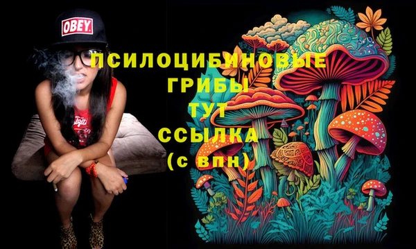 трава Верхнеуральск
