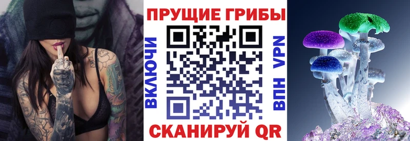 Галлюциногенные грибы GOLDEN TEACHER  Купить где  Давлеканово 